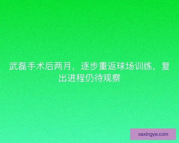 武磊手术后两月，逐步重返球场训练，复出进程仍待观察