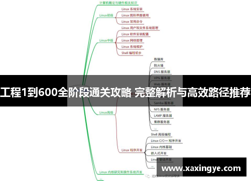 工程1到600全阶段通关攻略 完整解析与高效路径推荐